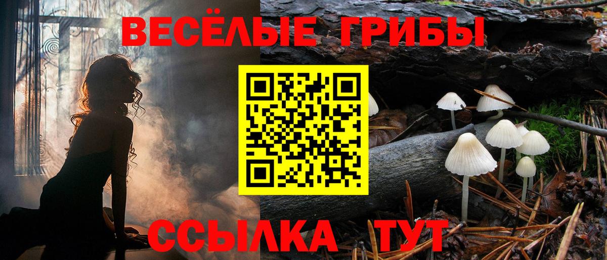 Псилоцибиновые грибы Psilocybine cubensis  Галлюциногенные грибы ЛСД  Мурино  Вход с VPN 